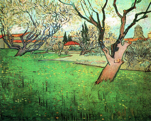 View of Arles with flowering tree